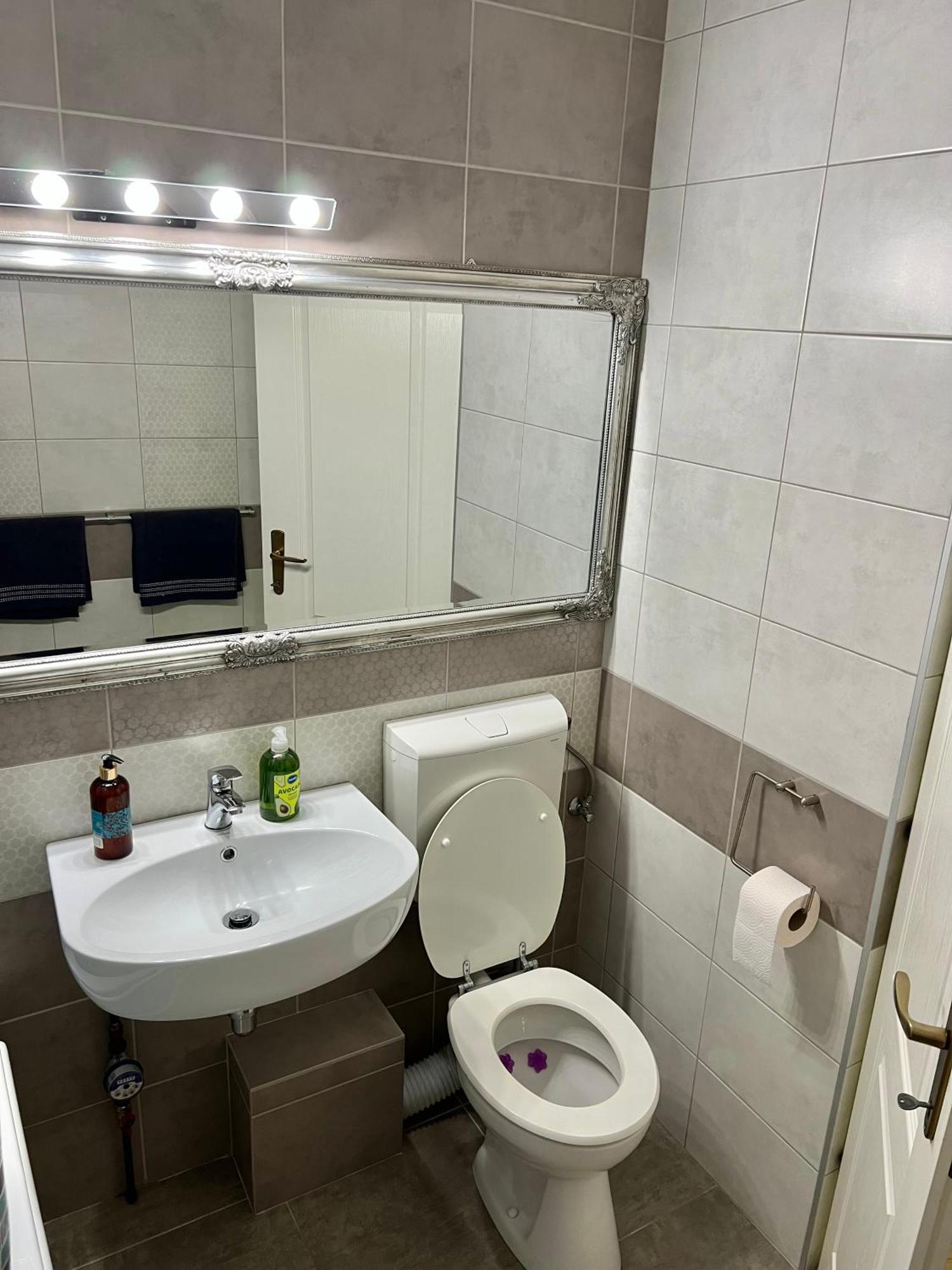 קלוז'-נאפוקה Aparthotel Aurel Vlaicu City Center מראה חיצוני תמונה